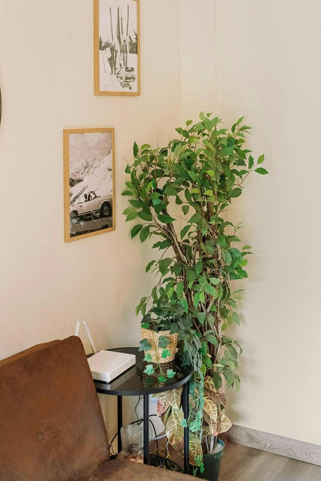 La Casita Del Arbol Διαμέρισμα Sallent de Gállego Εξωτερικό φωτογραφία